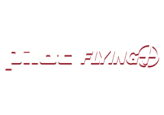 Pilot Flying J USA